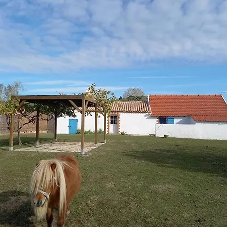 Au Coeur De La Nature Et Des Animaux Saint-Hilaire-de-Riez